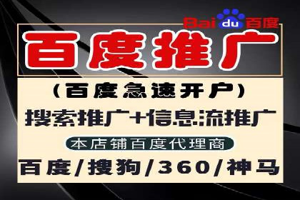 揭秘成功之道：竞价推广公司经典案例分享